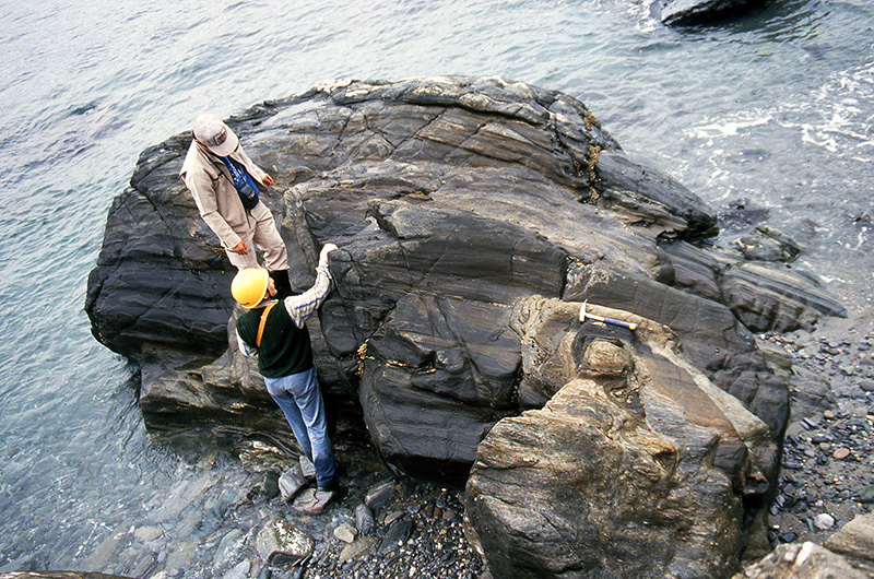 A top view of the exposure of sheath folds.